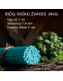 Turquoise beeswax candles N40 2